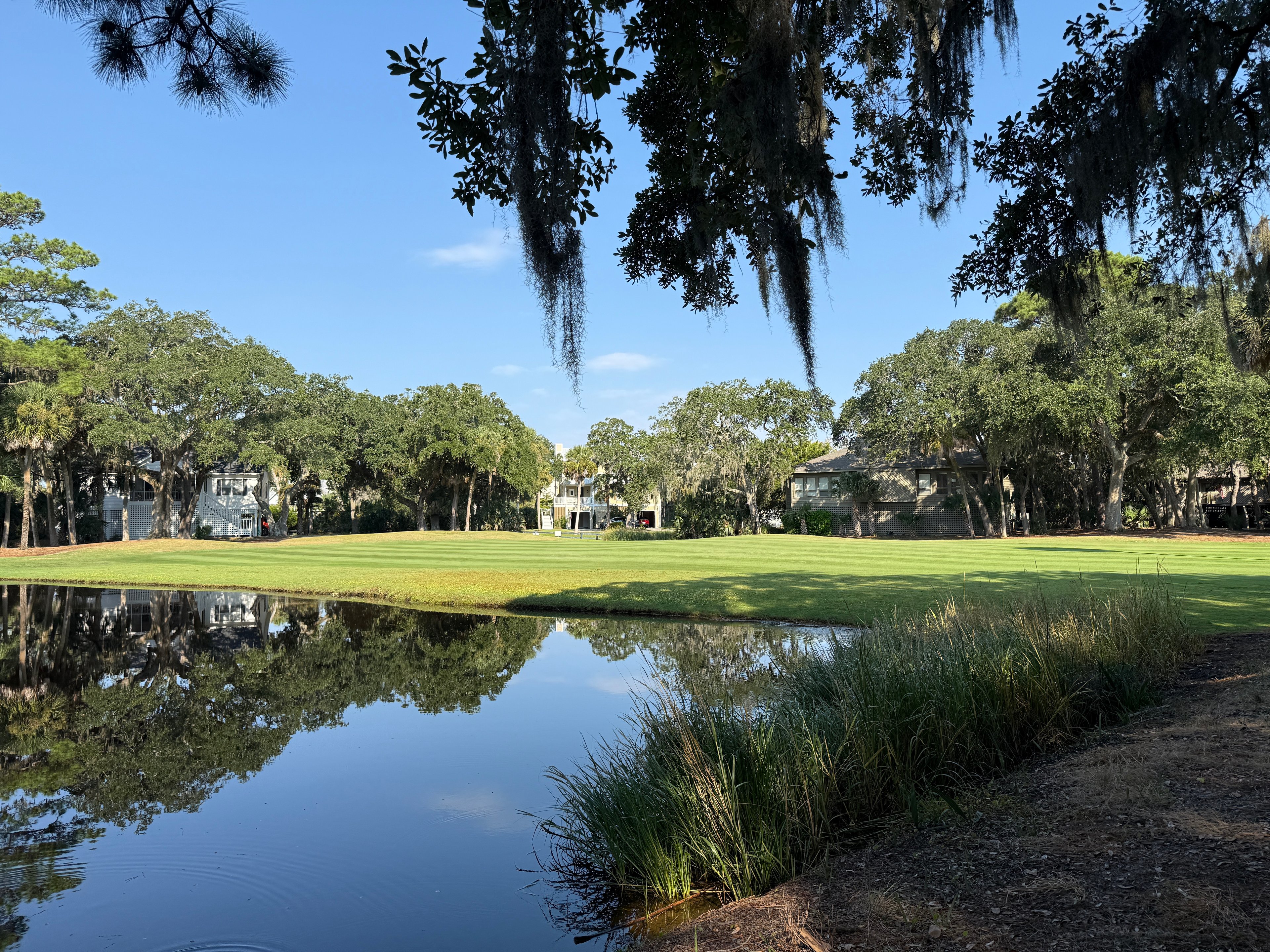 deal investment highlights