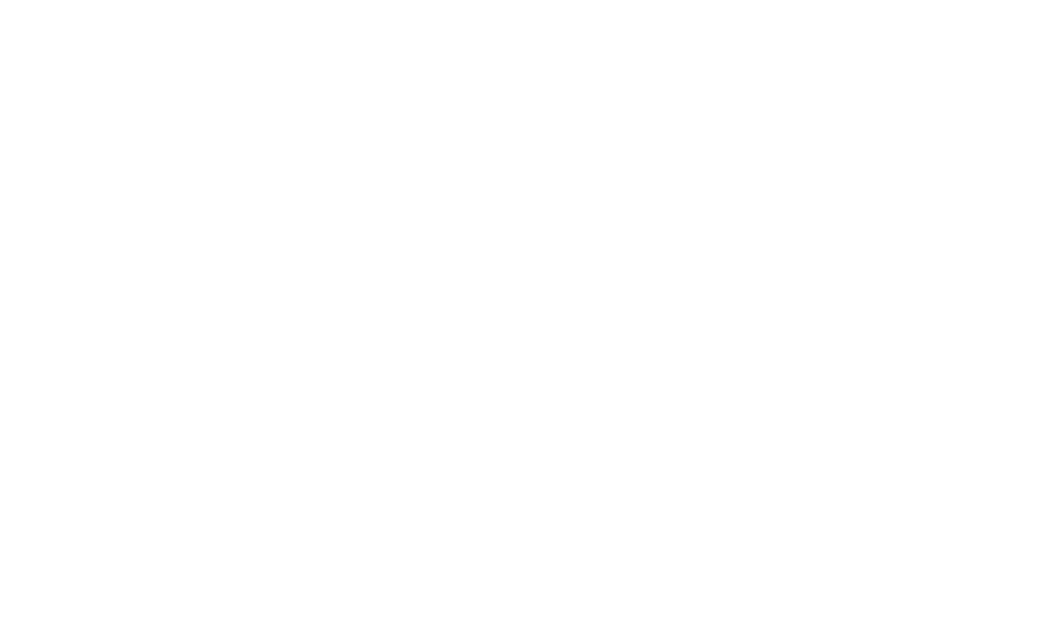 The Kirkland Company