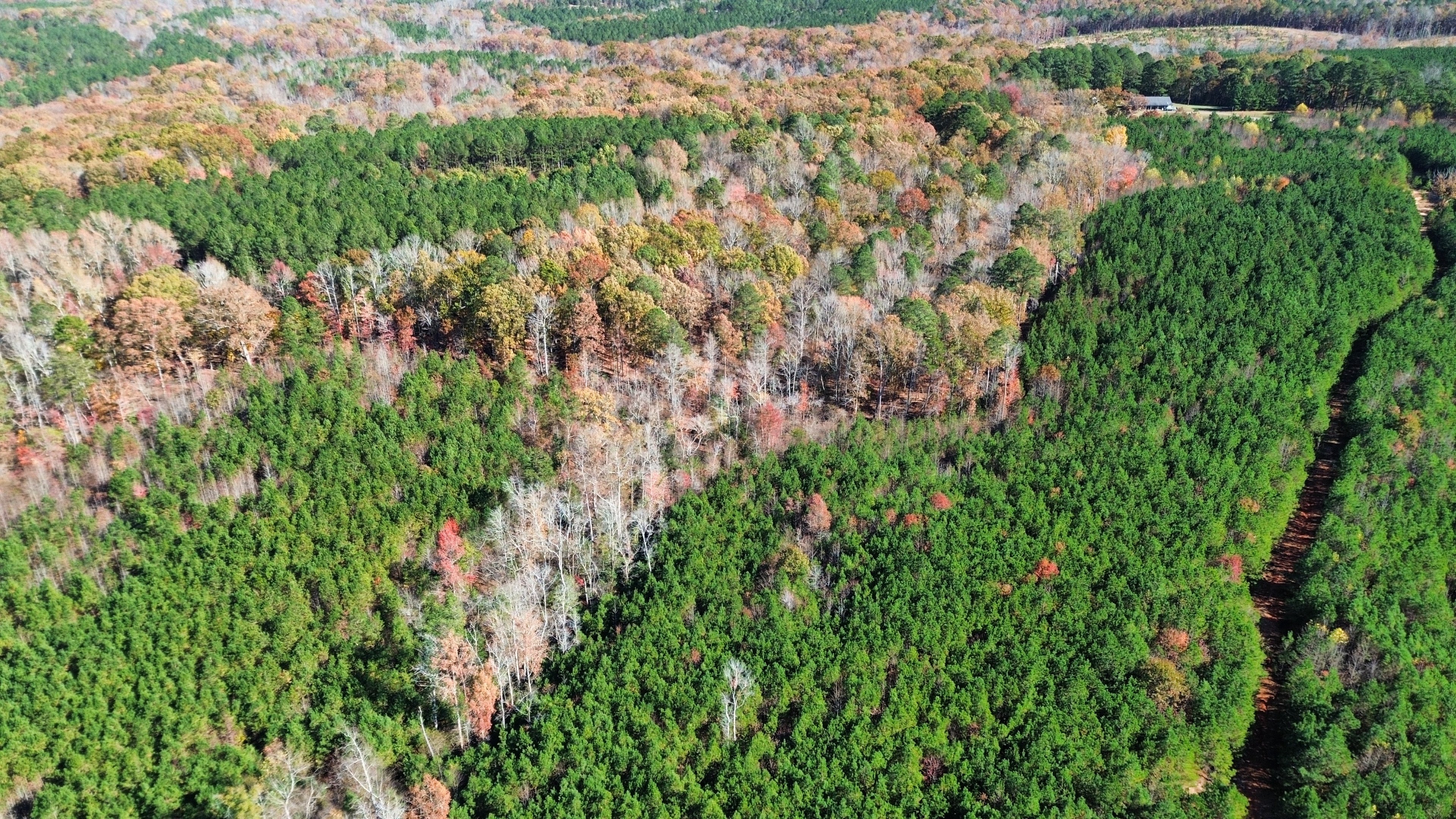 deal investment highlights