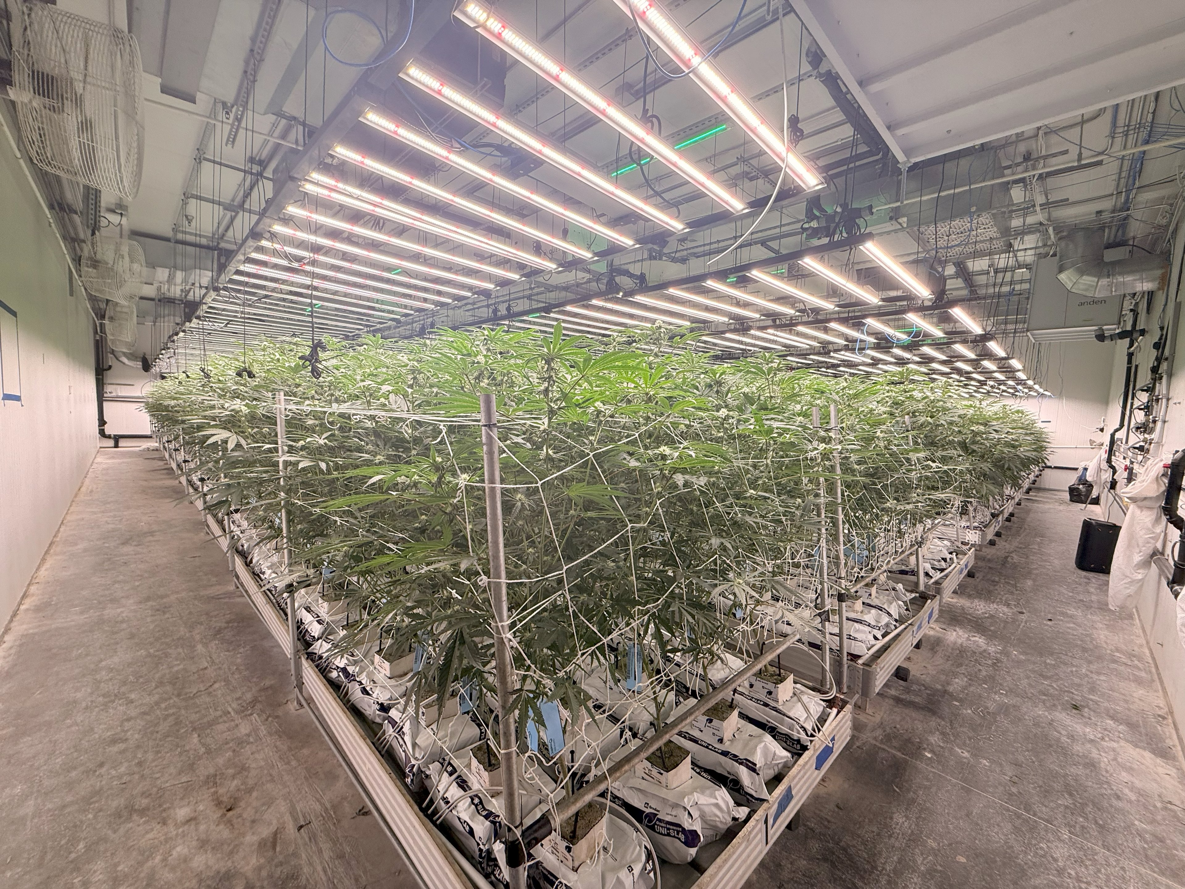 deal investment highlights