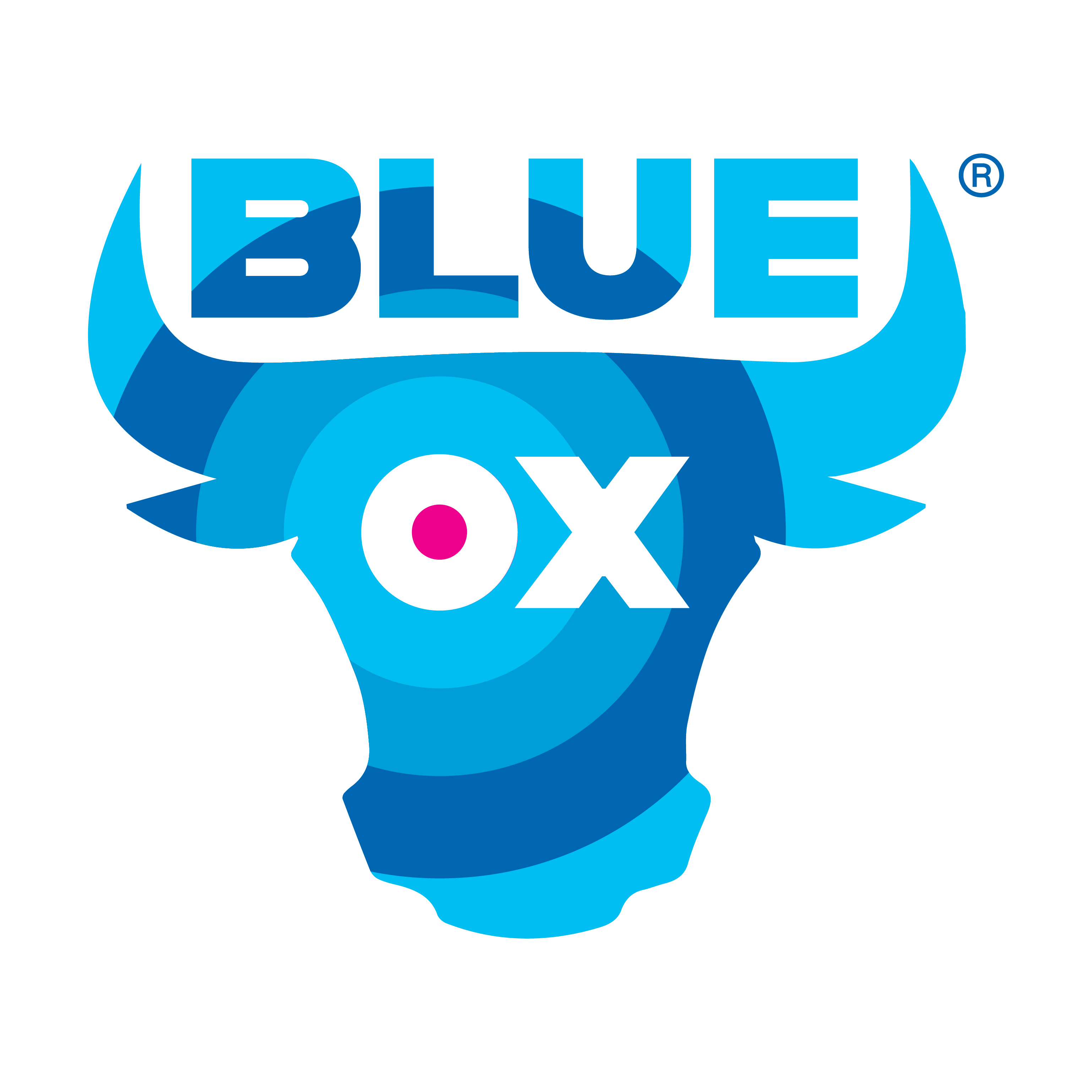 The Blue Ox Group