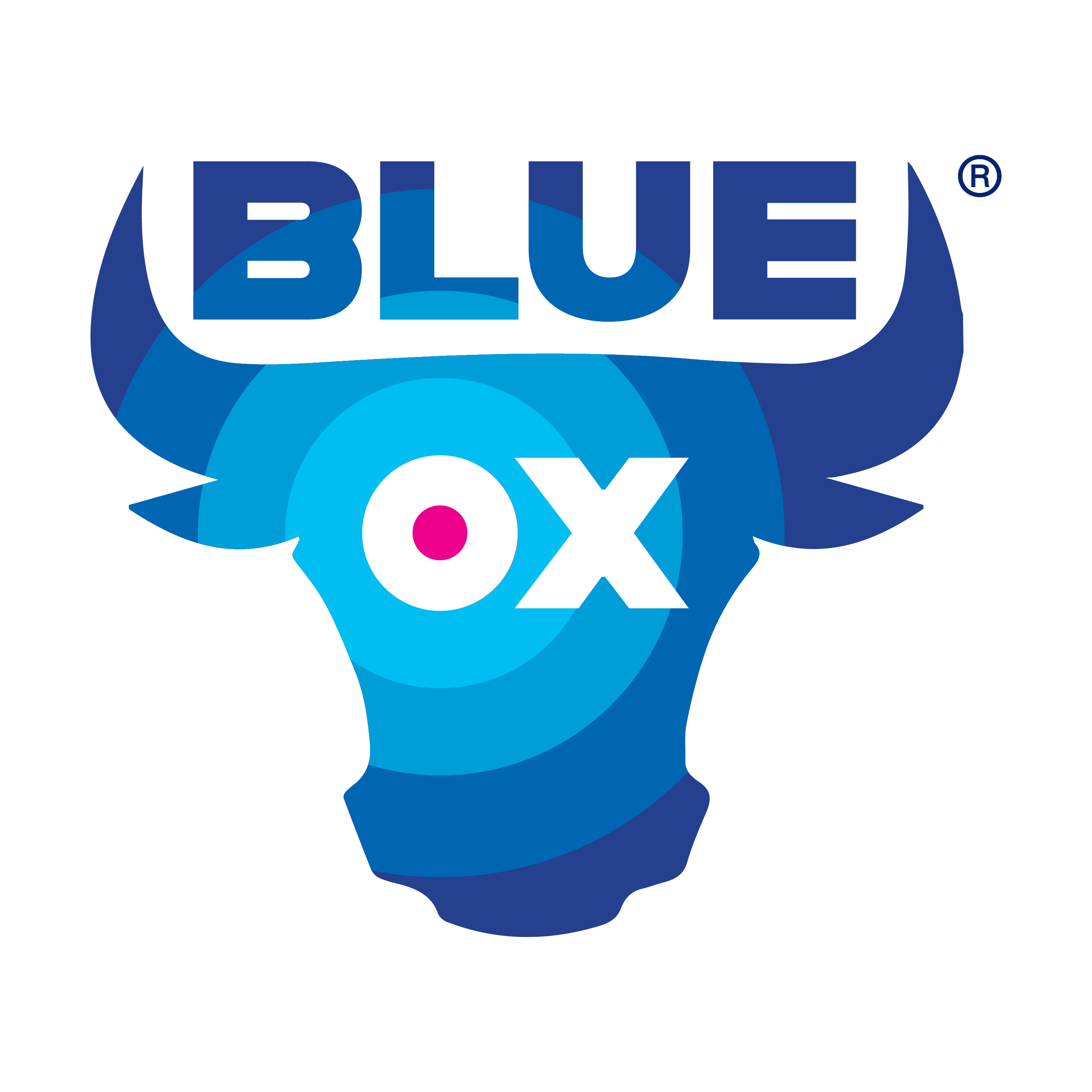 The Blue Ox Group