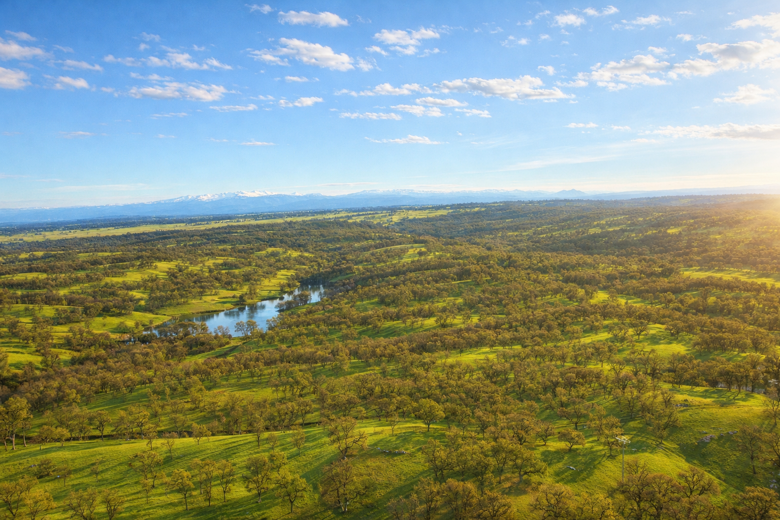 Nine Mile Hill Ranch | Revere