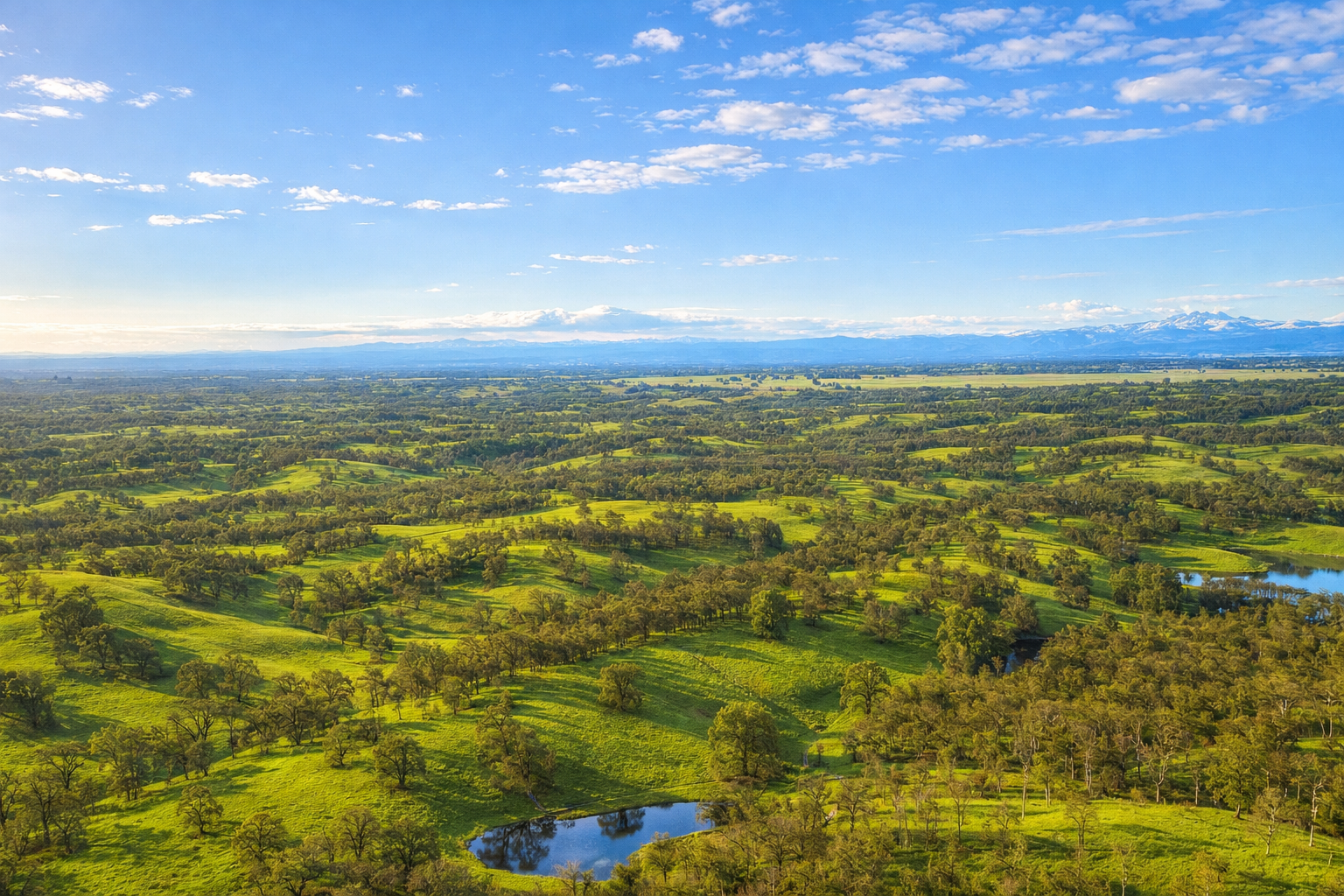 Nine Mile Hill Ranch | Revere
